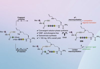 Scalable Azapeptide Macrocycles