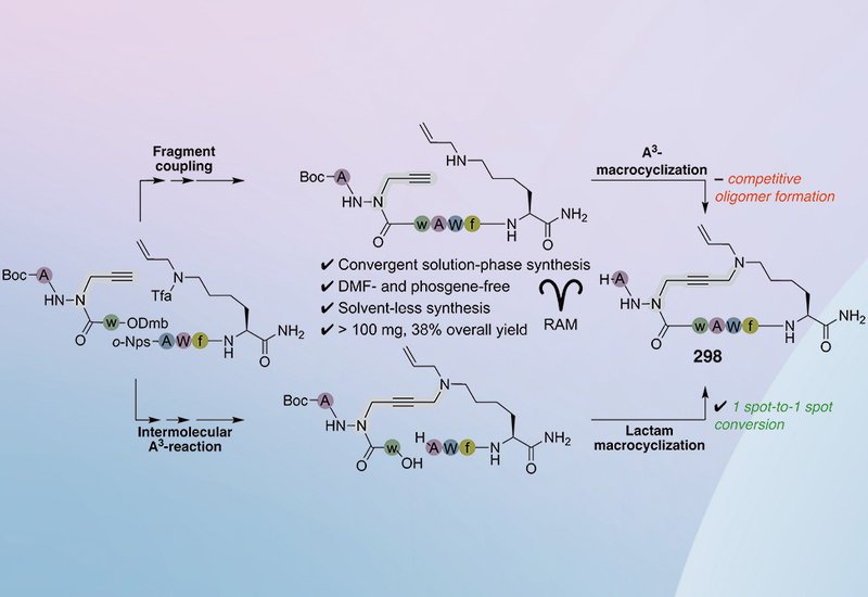 Scalable Azapeptide Macrocycles