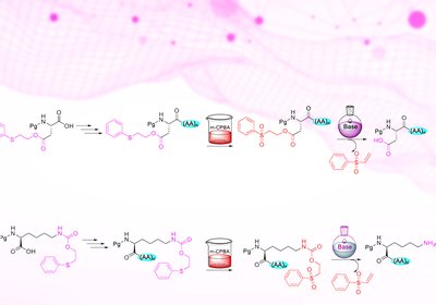 Safety Catch Strategy
