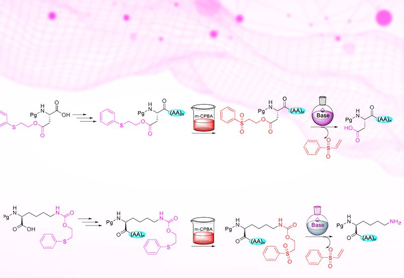 Safety Catch Strategy