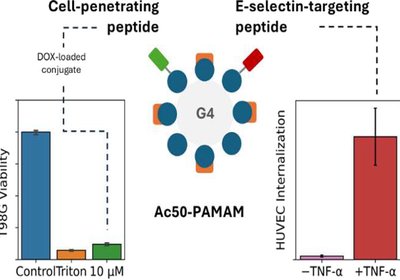 Dual Targeting Dendrimers