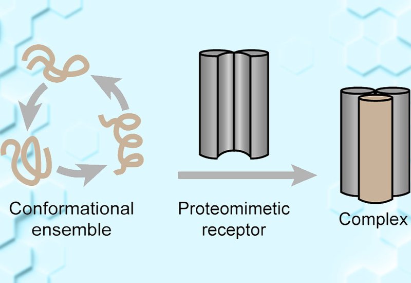 Capturing the Uncatchable