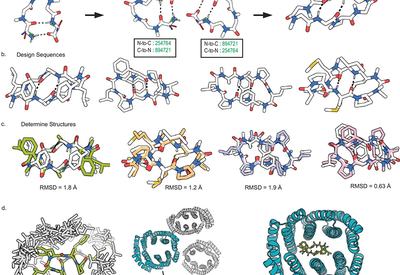 Designing Molecular Switches