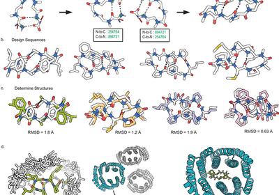 Designing Molecular Switches
