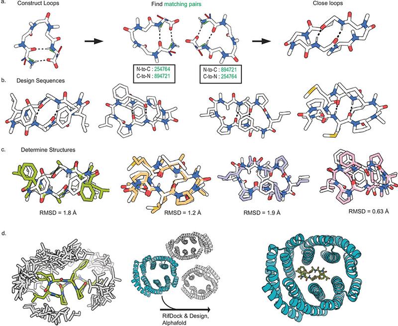Designing Molecular Switches