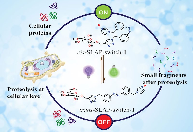 Photoregulated Catalysis