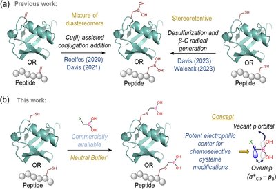 Cysteine Boronation