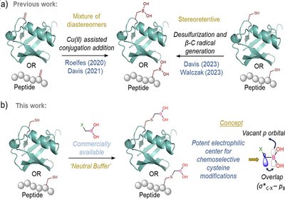 Cysteine Boronation