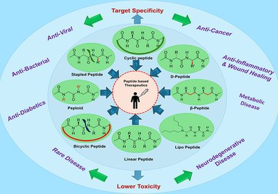 Engineering Better Peptides
