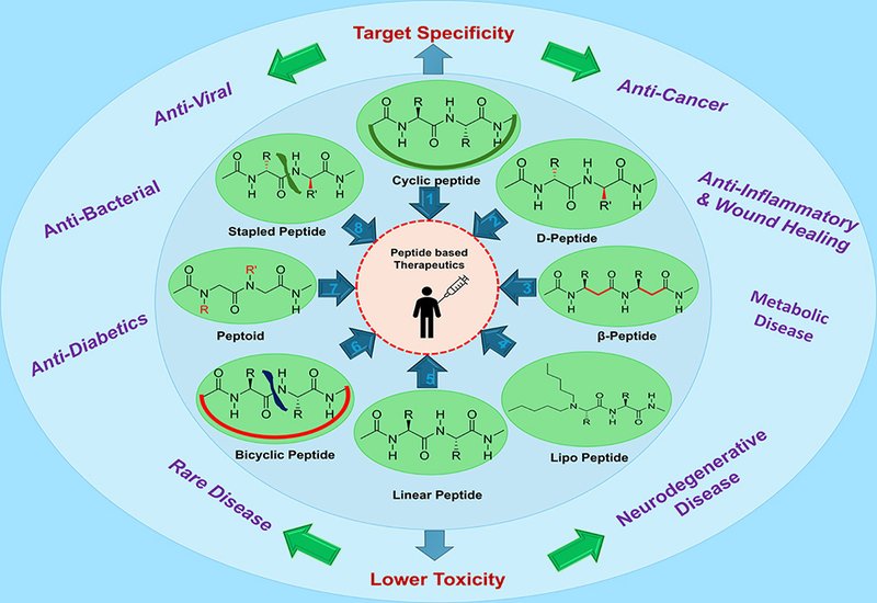 Engineering Better Peptides