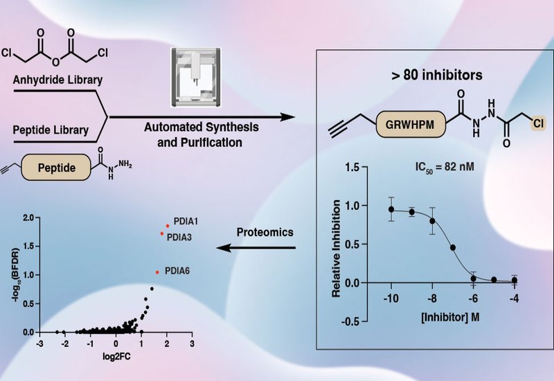 Covalent Peptide Libraries