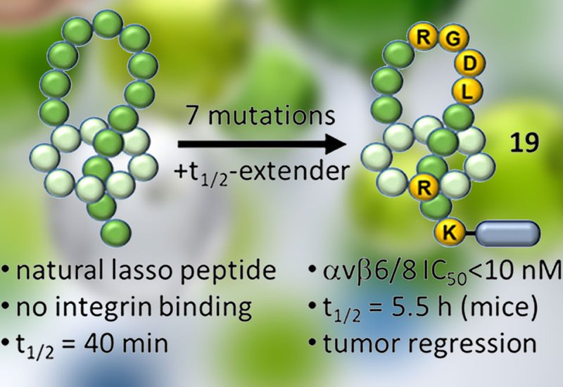 Engineered Lasso Peptides