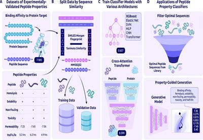 Predicting Peptide Futures