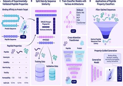 Predicting Peptide Futures