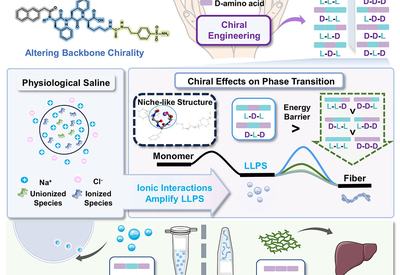 Chirality Steers Condensates