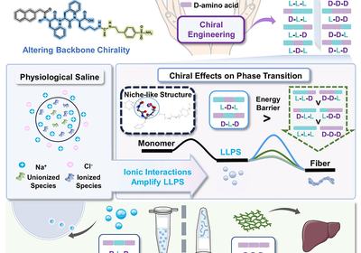Chirality Steers Condensates