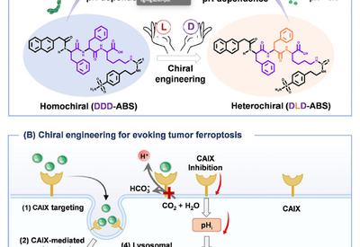 Chirality Targets Lysosomes