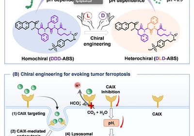 Chirality Targets Lysosomes