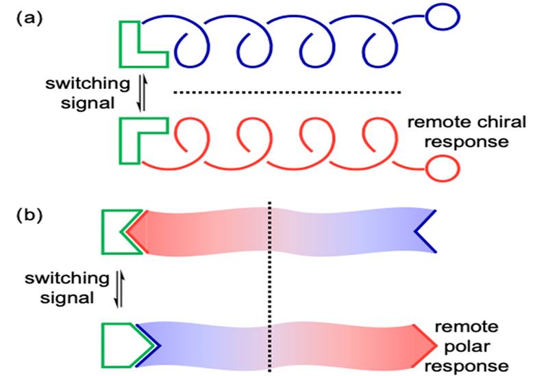 Foldamers in Membranes