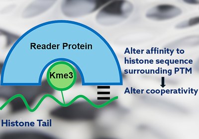 Cooperativity Unlocked