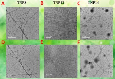 Nucleopeptides Fight Resistance