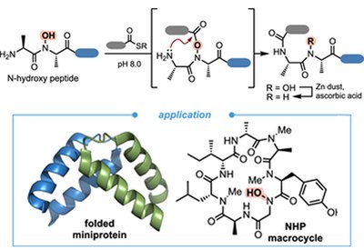 Backbone Bonds Unlocked