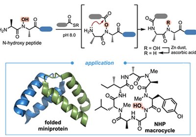 Backbone Bonds Unlocked