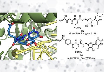 Stabilizing Pseudouridimycin