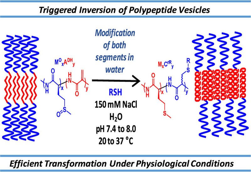 Vesicle Inversion