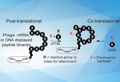 Covalent Library Design