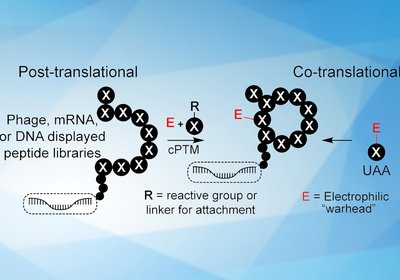 Covalent Library Design
