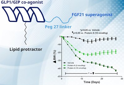 Triple Receptor Agonism