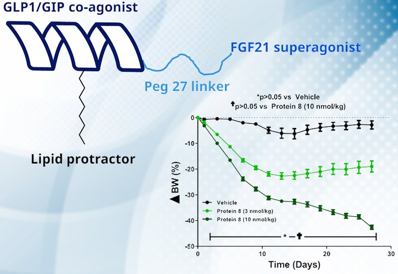 Triple Receptor Agonism