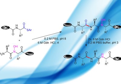 Site-Free Ligation