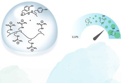 Questioning Cation–π