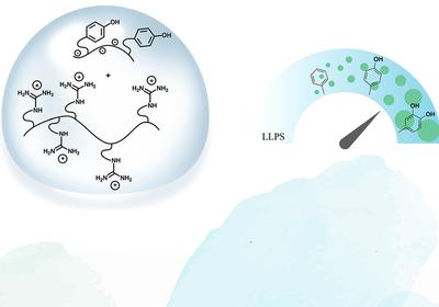 Questioning Cation–π