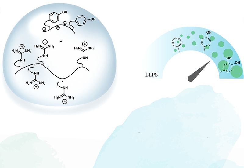 Questioning Cation–π