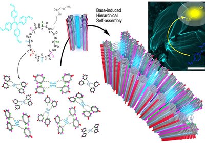 Luminescent Nanosheets