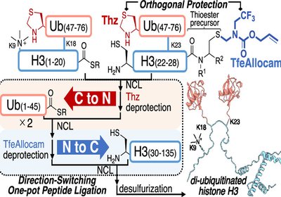 Switching Ligation Directions
