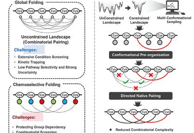 Folding by Design