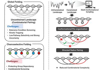 Folding by Design