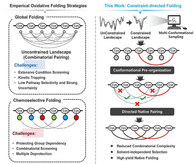 Folding by Design