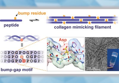 Bump-Gap Filaments