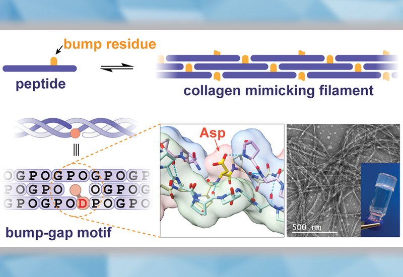 Bump-Gap Filaments