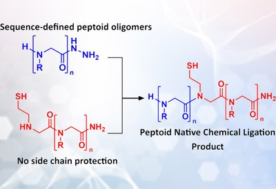 Peptoid Ligation