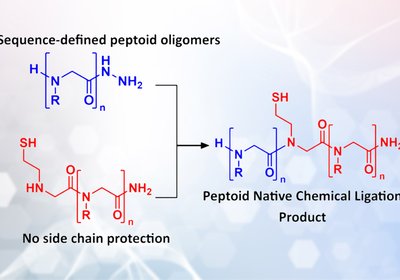 Peptoid Ligation