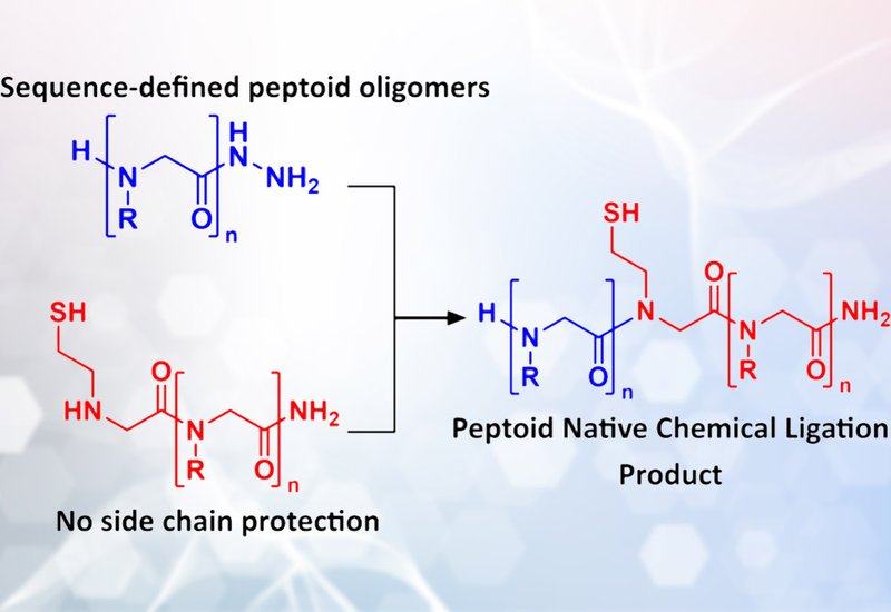 Peptoid Ligation