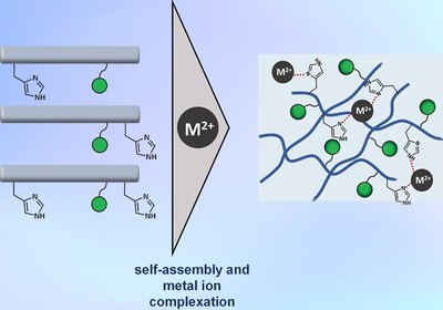 Glycan–Metal Synergy