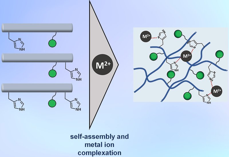 Glycan–Metal Synergy