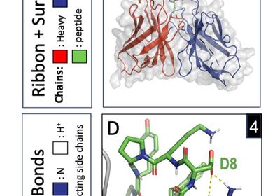 Blocking MS Autoantibodies